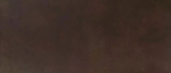 FRONTIER TABAK Płytka gresowa 40x80 brązowa mat 11mm