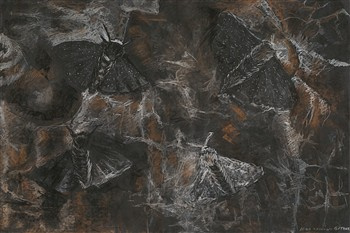 Tapeta Mrok 00 580x270