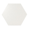 SCALE HEX.WHITE MAT