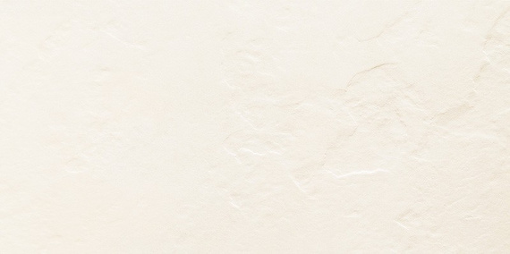 BLINDS WHITE Płytka ceramiczna 29.8x59.8 biała 10mm