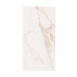 DIAMOND GOLD MATE Płytka gresowa 60x120 biała mat 9mm