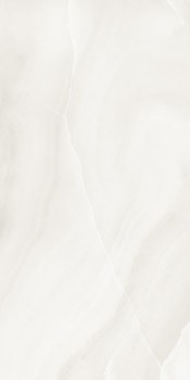 THE ROOM ONYX WHITE ABSOLUTE WH6 12 Płytka gresowa 60x120 szara lappato