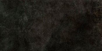 BORAX NEGRO  Płytka ceramiczna 20x40 mat