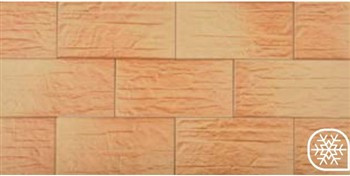 KAMIEŃ  CER-1 Płytka klinkierowa 14.8x30 10mm