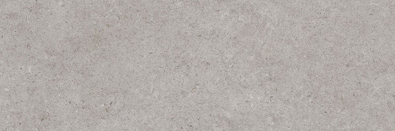 BERA&BEREN W.LIGHT GREY Dekor ceramiczny 29.8x89.8 szary 9mm