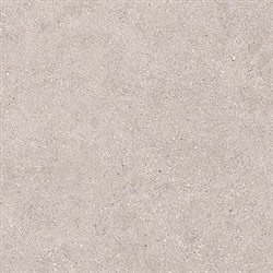 GRANITE GREY Płytka gresowa 60x60 szara mat