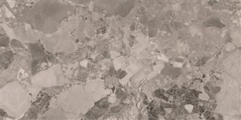 REALSTONE GREY PULIDO Płytka gresowa 60x120 szara połysk