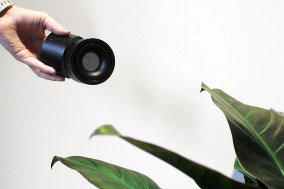 MISS FLEXY Oprawa natynkowa czarna