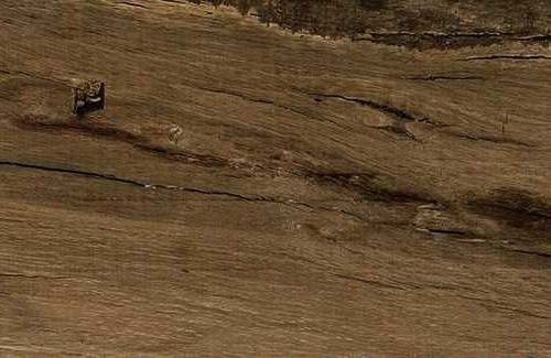 TREVERKSOUL BROWN Płytka gresowa 11x54 drewnopodobna mat