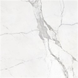 STATUARIO MAT Płytka gresowa 120x120 biała mat 9mm