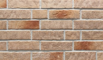 ZEITLOS KUPEFERSCHEL